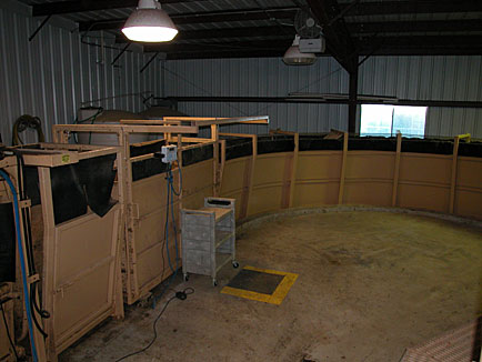 Weigh box and snake